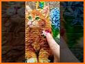 RollMe - Cute Cats Puzzle related image