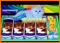 Kitten Slots related image