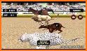 Animal Racing Game related image