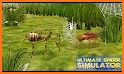 Spider Nest Simulator - insect and 3d animal game related image