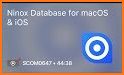 Ninox Database related image