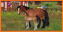 Star Stable Horses related image