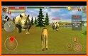 🐺 Wolf vs 🐯 Tiger Simulator: Wild Animals 3D related image