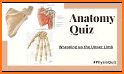 Anatomy MCQs Free related image