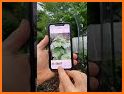 Plant Identifier App - EarthID related image