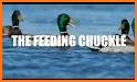 Duck hunting calls:  Waterfowl hunting sounds. HIT related image