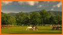 Great Smoky Mountains National Park Travel Guide related image