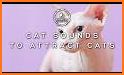 Cat Sounds related image