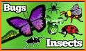 Insects and Bugs - Kids Learning Game related image