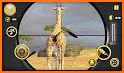 Wild Jungle Animal Hunter: Safari Hunting Games related image