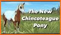 Chincoteague Pony Names related image