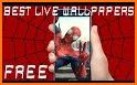 Spider Man Wallpapers related image