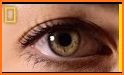 My Reading Eyes related image