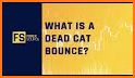 Cat Bounce 2000 related image