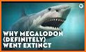 Megalodon related image