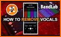 Vocal Remover - Musiclab related image