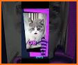 PetStar: Your Dog & Cat Sings related image