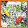 Koi Fish Aquarium Keyboard Theme related image