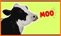 Animal Sounds for Kids Pro related image