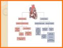 Pediatric Cardiology related image