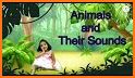 Animal Sounds for Kids Pro related image