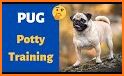 Pug Pad related image