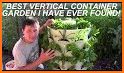 All About Container Gardening related image