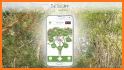 TheTreeApp SA related image