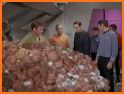 Tribble Troubles related image