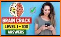 Brain Crack related image