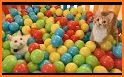 Fun Balls related image