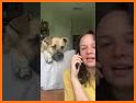 funny pups video call Phone related image