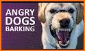 Dog Barking Sounds and Noises related image