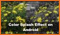 Photo Editor Pro - Color Splash, Background Eraser related image