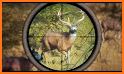 Wild Deer Hunting Animal Shooting Game 2020 related image