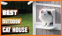 Cat House related image