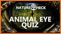 Guess The Animal: Animal Quiz related image