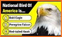 USA QUIZ - LEARN ABOUT AMERICA related image