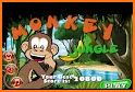 Jungle Monkey Run related image