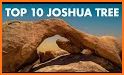 Hiking Guide: Joshua Tree related image