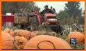 the visit of pumpkin related image