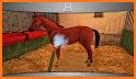 HorseWorld - My riding horse related image