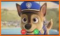 funny pups video call Phone related image