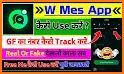 wMes related image