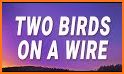 Twobird related image