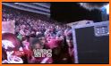 Arkansas Razorbacks Live WPs related image