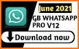 GB Wasahp Pro V12 2021 related image