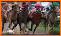 Horse Derby Racing 2019 related image