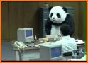 Cute Panda Keyboard related image