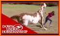 Downunder Horsemanship related image